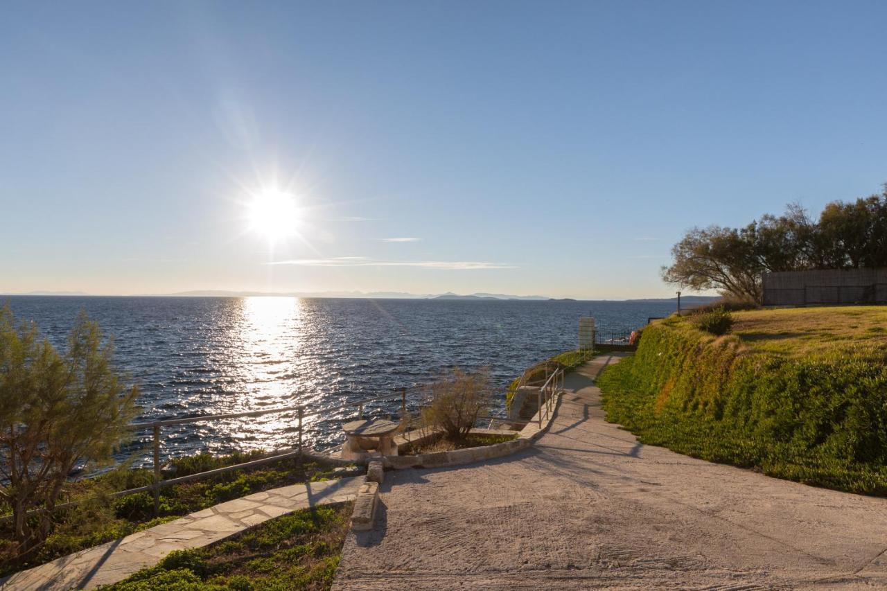 Luxurious Villa Philoxenia Lagonisi Exteriér fotografie